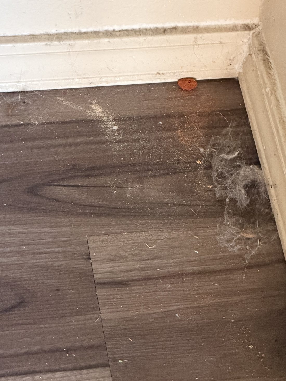 A bedroom corner with hair and debris before cleaning