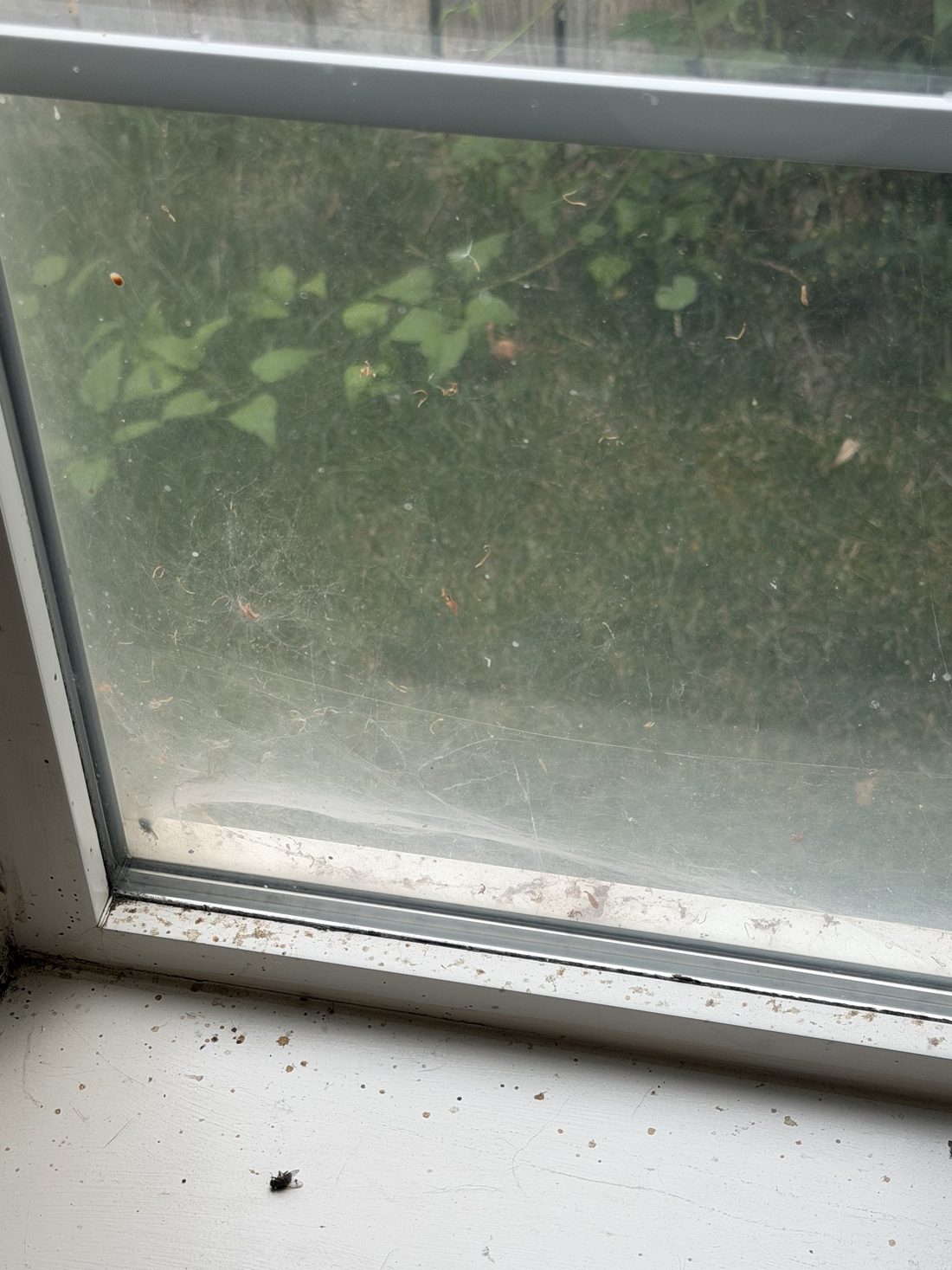 A dirty window track and sill before cleaning